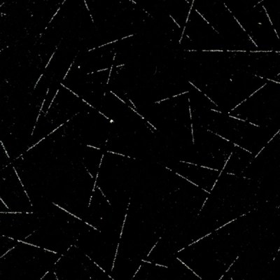 Обои Cosca Велюр Нуар